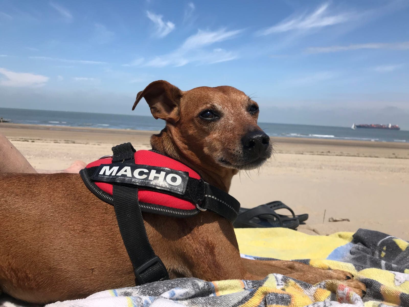 Familie Lotz-Salden 3