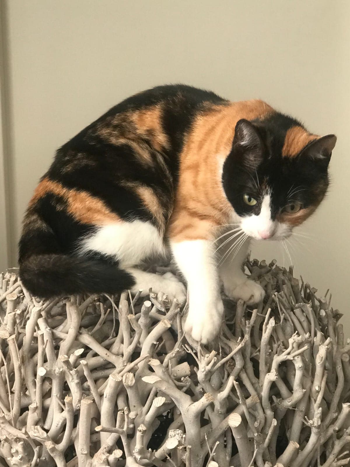 Familie Lotz-Salden 4